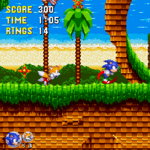 Sonic and Tails running through Great Turquoise Zone, a tropical forest on a seaside background.
