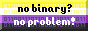 A nonbinary pride flag background with the text 'No binary? No problem.'